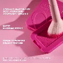 BLUSH_INFOGRAPHIC.webp