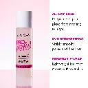 pro-perfect-spray-matte-gfs200-infograph-02.webp