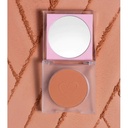 Blush Hush - Discreet