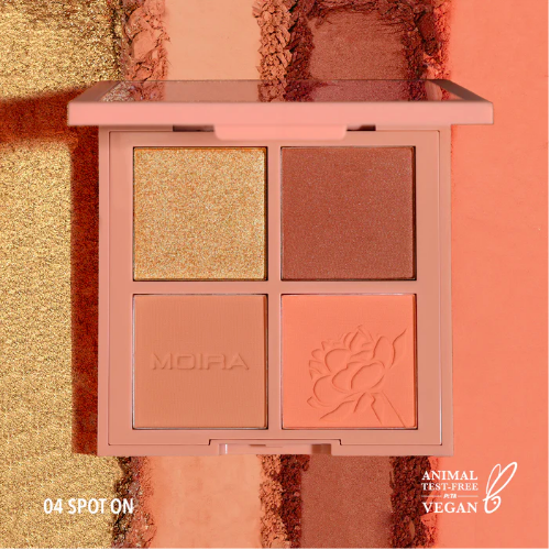 [10289] Spot On Face Palette